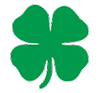 favicon favicon